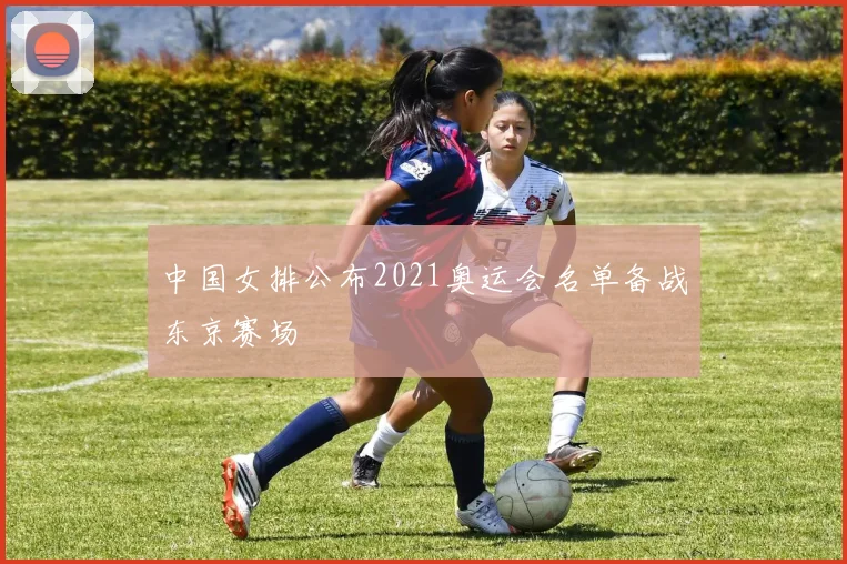 中国女排公布2021奥运会名单备战东京赛场