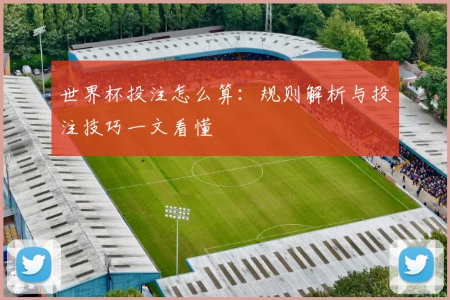 世界杯投注怎么算:规则解析与投注技巧一文看懂