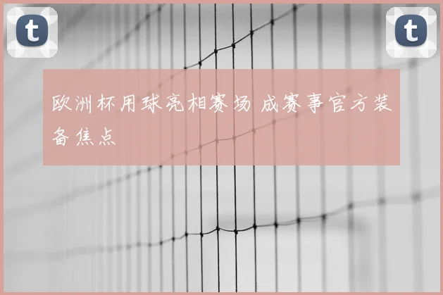 欧洲杯用球亮相赛场 成赛事官方装备焦点