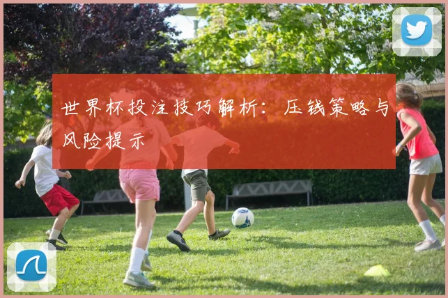 世界杯投注技巧解析：压钱策略与风险提示