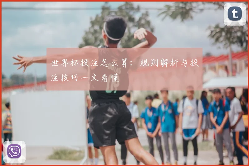 世界杯投注怎么算:规则解析与投注技巧一文看懂