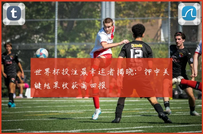 世界杯投注最幸运者揭晓：押中关键结果收获高回报