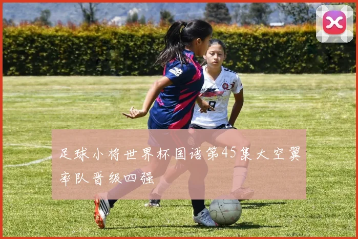 足球小将世界杯国语第45集大空翼率队晋级四强