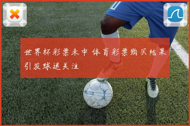 世界杯彩票未中 体育彩票购买结果引发球迷关注
